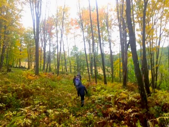 Hiking through the colorful forest